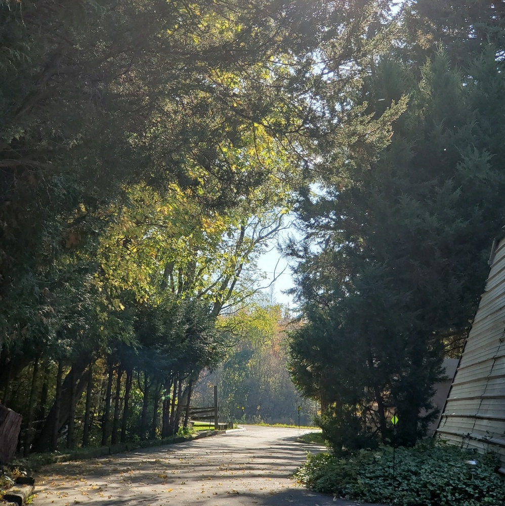 Meet your Posher, Jen